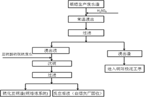 從生產(chǎn)銀硒過程中的廢水渣中回收稀貴金屬的方法