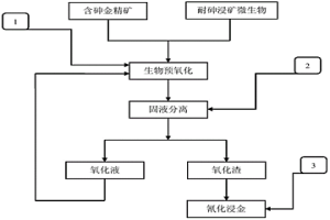 利用高砷離子耐受性浸礦微生物進行含砷難浸金礦微生物預氧化的方法