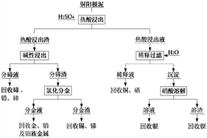 銅陽(yáng)極泥的全濕法預(yù)處理方法