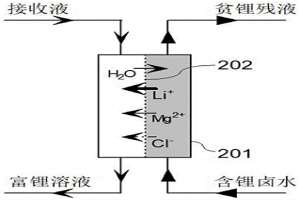 從含鋰鹵水中自發(fā)選擇性分離鎂富集鋰的方法及其裝置