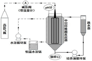 中空纖維膜富集氧化亞鐵硫桿菌形成生物膜的方法及中空纖維膜反應(yīng)器和應(yīng)用