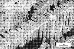 制備樹枝狀Ni納米晶的方法