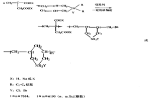 水溶性有機(jī)兩性高分子共聚物及制備方法