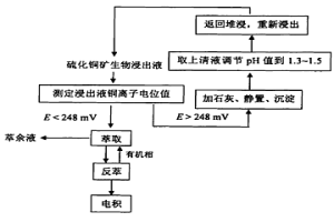 應用離子選擇電極控制硫化銅礦生物浸出液萃取過程中第三相形成的工藝