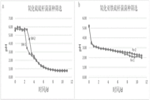 嗜酸性混合菌種及其快速制備方法和應(yīng)用