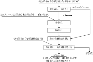 適用于低品位氧硫混合銅礦的制粒-生物堆浸工藝