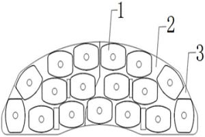 非對(duì)稱結(jié)構(gòu)的燕尾型粉末冶金閘片