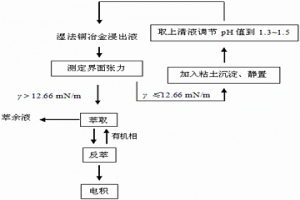 控制濕法銅冶金浸出液界面污物形成的工藝