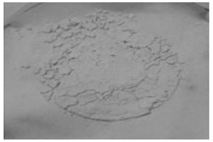 提高含磷鋼渣中P<Sub>2</Sub>O<Sub>5</Sub>枸溶率的方法