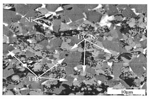 (TiCxNy-TiB2)/Ni陶瓷-金屬復(fù)合材料及其制備方法