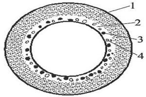 顆粒增強(qiáng)內(nèi)燃機(jī)鋁缸套及其與鋁缸體的組合成形方法