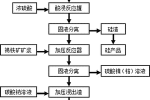 通過(guò)聯(lián)合浸出工藝從紅土鎳礦中回收鎳、鈷、鐵和硅的方法