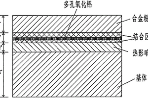 具有合金纖維結(jié)構(gòu)支撐的高強度復合涂層