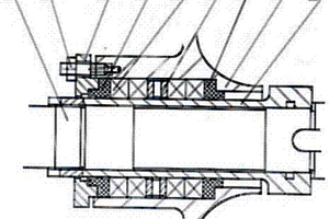 單級雙吸離心泵的泵軸填料密封裝置