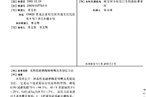 高性能耐磨陶瓷噴嘴及其制造方法