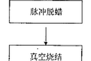 硬質合金大制品的脫蠟燒結一體工藝