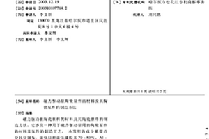 磁力驅(qū)動泵陶瓷泵件的材料及其陶瓷泵件的制造方法