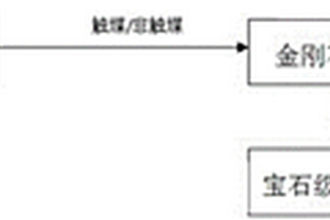 生命鉆石的制備工藝