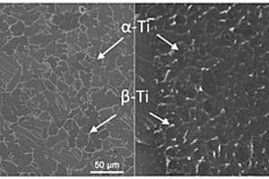 雙尺度等軸結(jié)構(gòu)的鈦合金及其制備方法與應(yīng)用