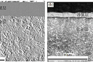 鋼基表面合金化-離子滲氮耐磨耐蝕復(fù)合改性層及其制備方法
