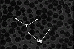 雙連通網(wǎng)狀結(jié)構(gòu)鈦-鎂雙金屬復(fù)合材料的制備方法