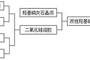 改性羥基磷灰石晶須的制備方法