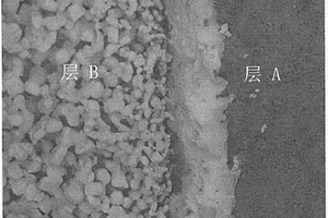 雙層負溫度系數(shù)熱敏電阻及其制備方法