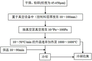 真空強(qiáng)化高硫石油焦脫硫的方法