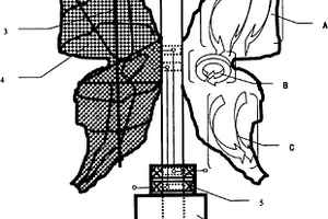 蝴蝶翼型風(fēng)光能源復(fù)合型發(fā)電裝置及其用途