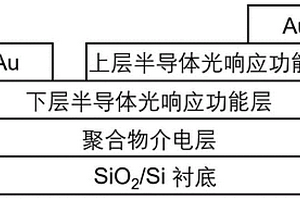 具有選擇性探測(cè)功能的自供電人造光電突觸及其制備方法