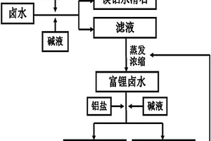 從鹵水中提取鎂、鋰同時生產(chǎn)水滑石的工藝方法