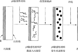 反滲透/納濾膜污染的強(qiáng)化清洗方法