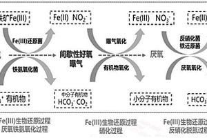 間歇性曝氣式地下水氨氮、有機(jī)污染生物的修復(fù)方法