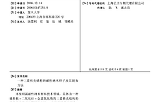 三重核殼結(jié)構(gòu)的磁性納米粒子及其制備方法