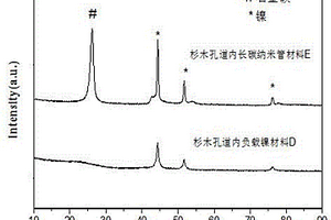 生物質(zhì)基大孔內(nèi)生長碳納米管的功能材料的制備方法及其應(yīng)用