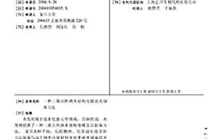 三維點陣納米結(jié)構(gòu)電極及其制備方法