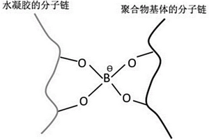 聚合物功能材料及其制備方法、應(yīng)用