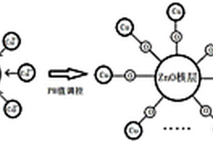 ZnO-CuO核殼結(jié)構(gòu)量子點/納米晶及其制備方法