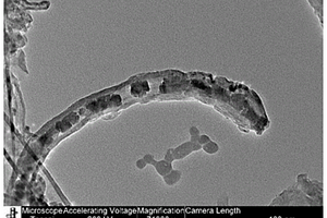 高性能碳納米管功能材料及其制備方法