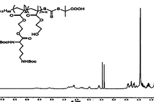 聚賴氨酸衍生物的RAFT制備方法