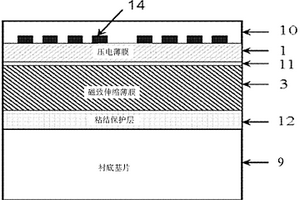 磁聲表面波磁場傳感器及其制備方法