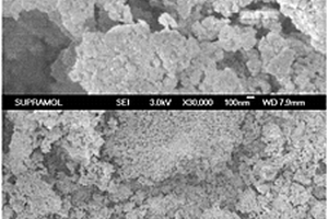 抗H<sub>2</sub>O、SO<sub>2</sub>和重金屬化毒害的煙氣脫硝催化劑及其制備方法