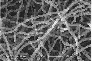 制備硫化鎳納米纖維的方法