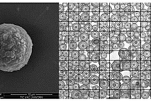 中空微球及其制備方法