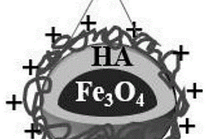 用于油水分離的Fe3O4/HA/CSMNPs及制備方法、應(yīng)用