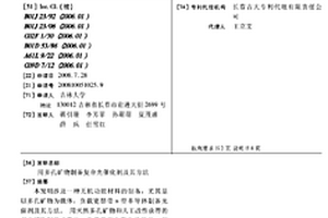 用多孔礦物制備復合光催化劑及其方法