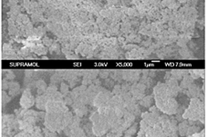 抗H<sub>2</sub>O、SO<sub>2</sub>、重金屬和粉塵毒化的煙氣脫硝多元催化劑