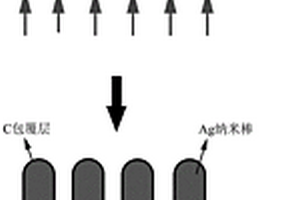 碳包覆的銀納米棒陣列及其制備方法和應(yīng)用