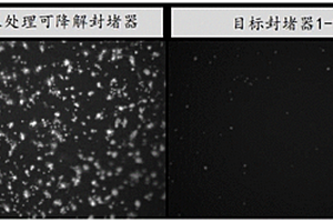 可降解封堵器抗凝血及快速內(nèi)皮化涂層及其制備方法