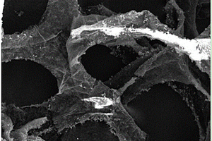 三維泡沫石墨烯的制備方法